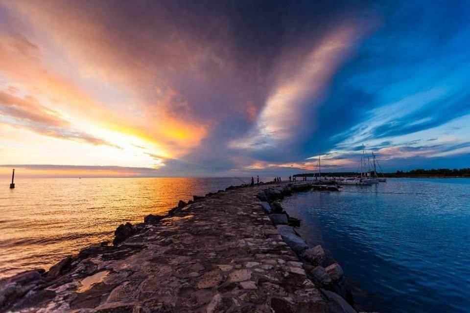 Apartman Morena Novigrad  Exterior photo