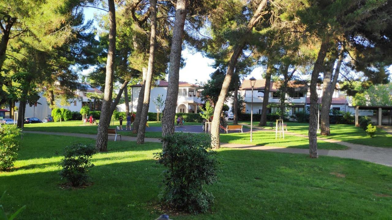 Apartman Morena Novigrad  Exterior photo